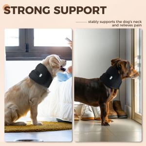 China Dog neck brace wholesale