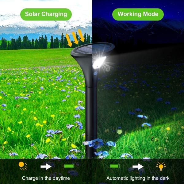 Powerful 400 Lumen 0.5W LED Solar Landscape Spotlights Adjustable Height