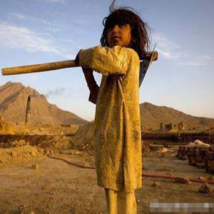 Buy cheap Hoffman Kiln Natural Drying Clay Brick Making Machine Fully Automatic Brick from wholesalers