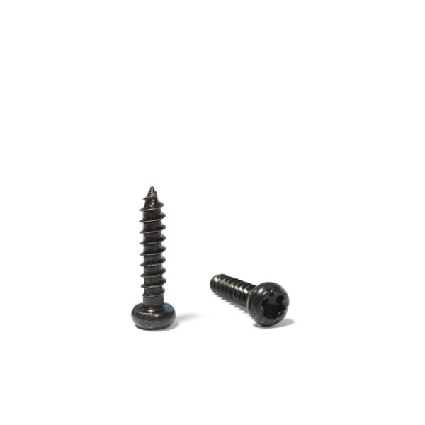 DIN Standard Steel Torx Pan Head Self-Tapping Screw for Accepting Customer Designs