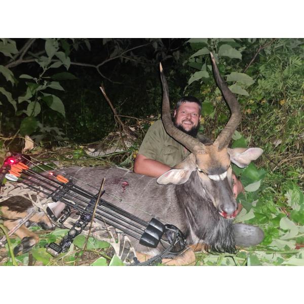 .204"(5.18mm) Small Diameter Straightness.003-.001" Spine 250/300/350/400/500/600 For Turkey And Deer Hunting Season