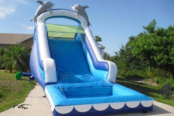 Quality Play Inflatable Water Slides For Kids / Dolphin Inflatable Pool Water Slide for sale