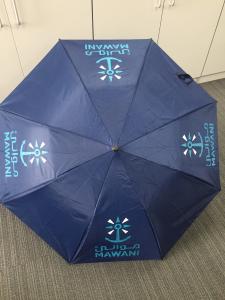 China promotion umbrella,Promotional Folding Umbrella with Logo on sale