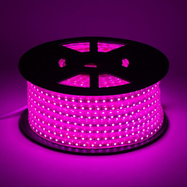 DC12V Waterproof SMD 2835 LED Strip 120 Leds / M 100m/ Roll 3 Years Warranty