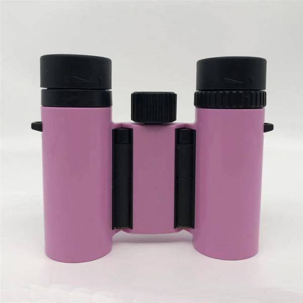 Roof Prism BK7 8x25 10x25 Compact Waterproof Binoculars With Plastic Cover