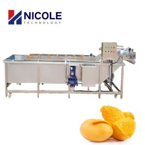 China Mango Industrial Fruit Washing Machine Multifunctional Veggie Cleaner Machine wholesale