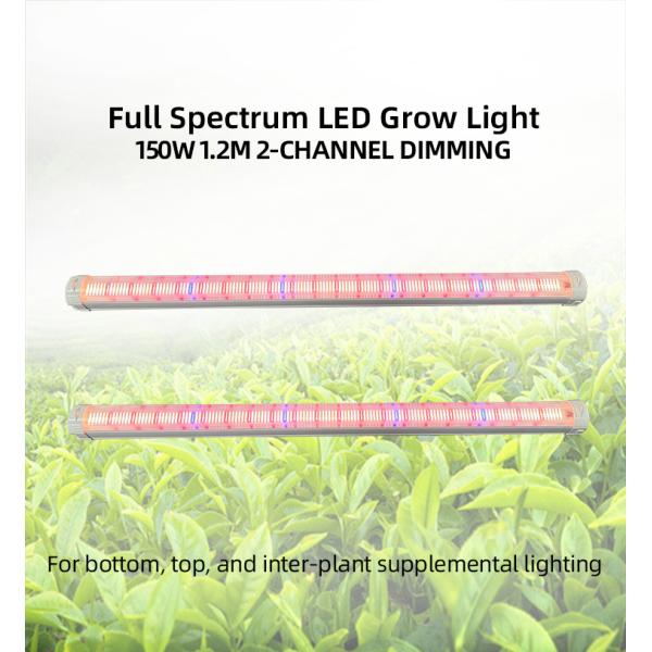 Two-way 0-10V Dim Samsung Lm301h EVO Lm281b Indoor Full Spectrum Plants Lighting 150W 4ft Under Canopy Led Grow Light