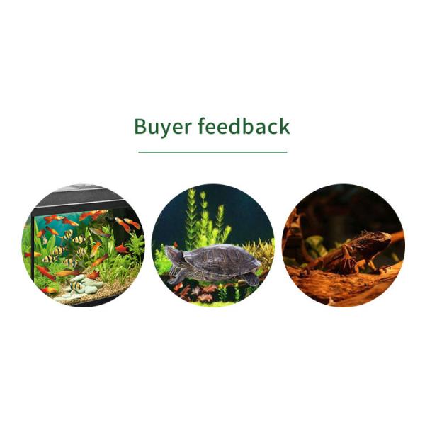 IP65 Waterproof Reptile Tank Lights , 10000hrs Uvb Light For Bearded Dragon