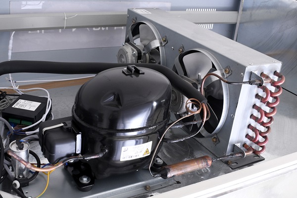 Beef Thawing Cabinet Defrosting Compartment Custom Power Supply