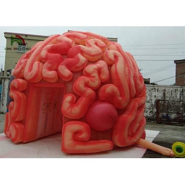 6m Huge Inflatable Colons Heart Tunnel Commercial Bounce Houses Flame Retardant