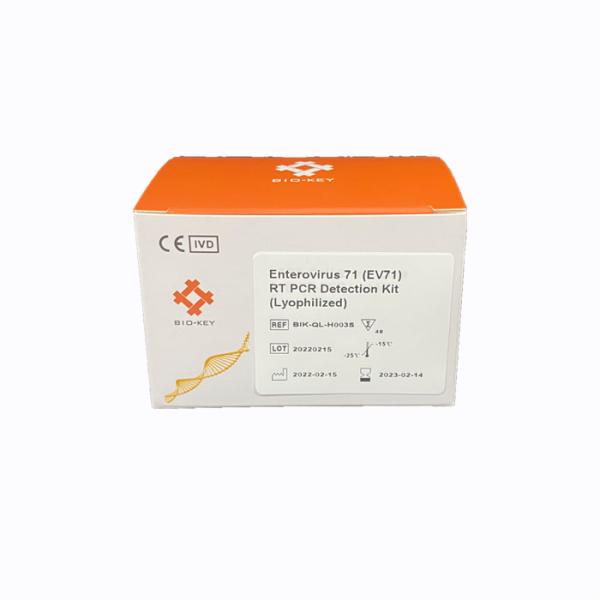 Fast NAT Amplification Detection Enterovirus 71 EV71 RT PCR Test Kit Lyophilized