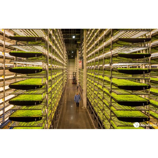 US Stock 4x6 Full Spectrum LED Grow Light 480V Greenhouse Indoor