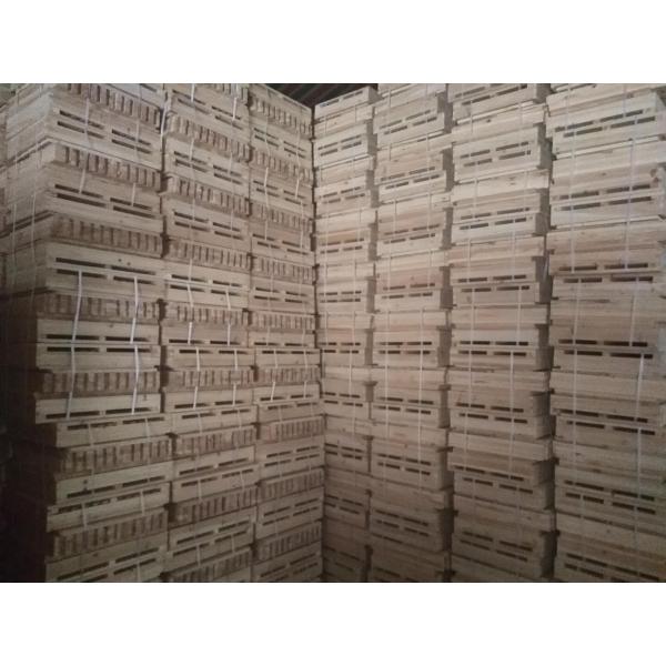Best Quality China Fir Wood Bee Frame Beehive For Langstroth