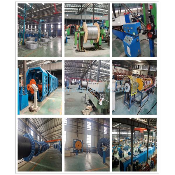 Bare AAAC Electric Cable 25mm2 50mm2 70mm2 95mm2 120mm2 150mm2 240mm2 Power Cable