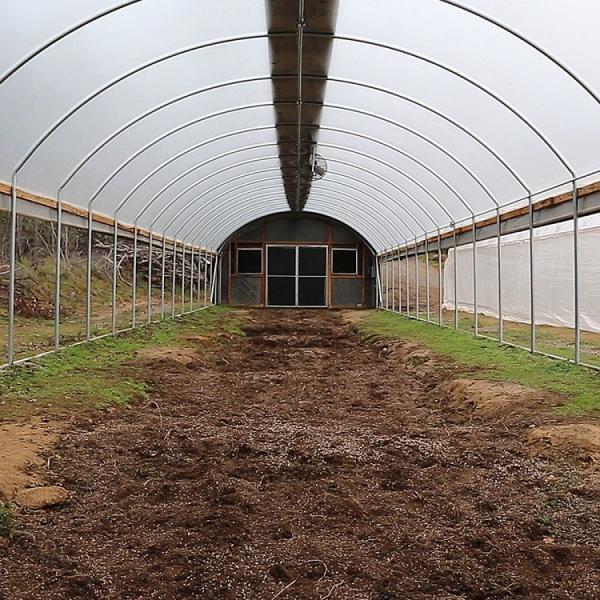 Galvanized Steel Frame PE Film Greenhouse 3.2m High Tunnel Greenhouse