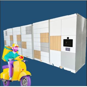 China Advanced Parcel Delivery Lockers For Quick And Convenient Delivery wholesale