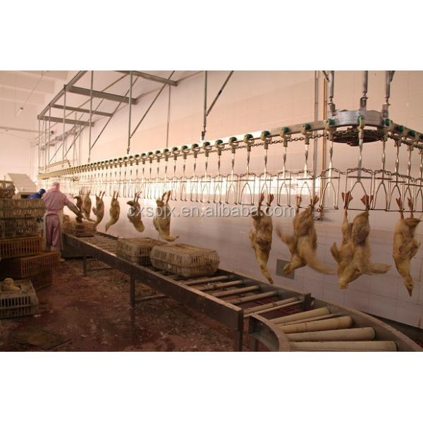 500PCS Automatic Poultry Slaughterhouse Equipment Stainless Steel Chicken Farming Line