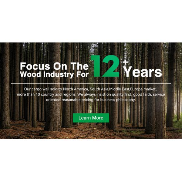 Exotic Parquet Wood Veneer With Fleece Backing DIY For Wallcovering Home Table Decoration