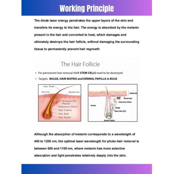 755 808 940 1064nm Diode Laser Hair Removal Device 4 Wavelength with 12*24mm/12*28mm Spot Size