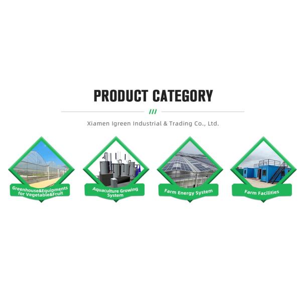 Film Surface Material Multi-Span Agricultural Greenhouses IGreen Greenhouse