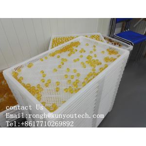 China ISO9001 PPE 75 * 55 * 5cm Plastic Drying Trays wholesale