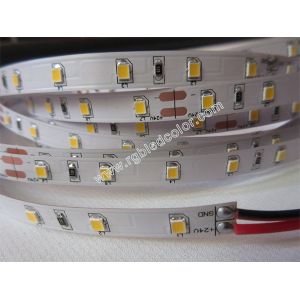 China 2835 led strip 24v 60led/m wholesale