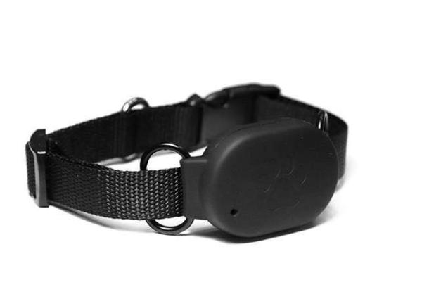 Quality pet gps tracker with long life battery supports wifi connection,portable mini gps tracker for sale