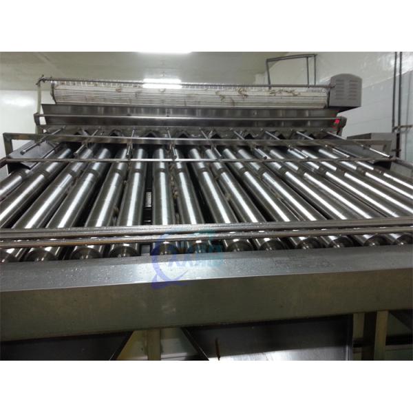 4900W Shrimp Grading Machine Roller Control Anti Erosion Automatic