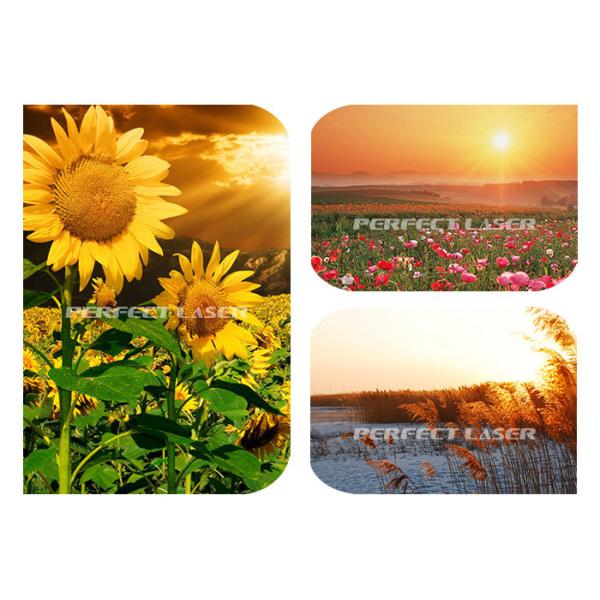 9600 Dpi Inkjet Wall Printing Machine Uv Parking Space Floor Painting For Floor Graffi