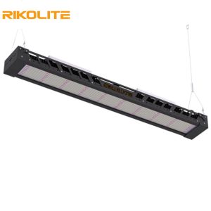 Buy cheap SMD3030 IP65 300w Full Spectrum Grow Lights , 1450umol/s Led Light Bar Fixture from wholesalers