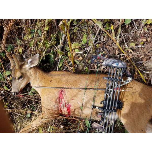 .204",5mm series 3k crosswoven fiber straightness 0.003-0.001" big game hunting spine 200/250/300/350/400 carbon arrows