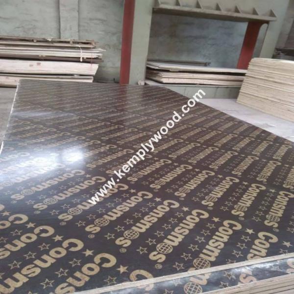 Quality 72 Hours boiled Phenolic Dynea Glue Poplar Film Faced Plywood for sale