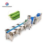 165MM Belt Industrial Vegetable Processing Machine Fruit Selection Washing