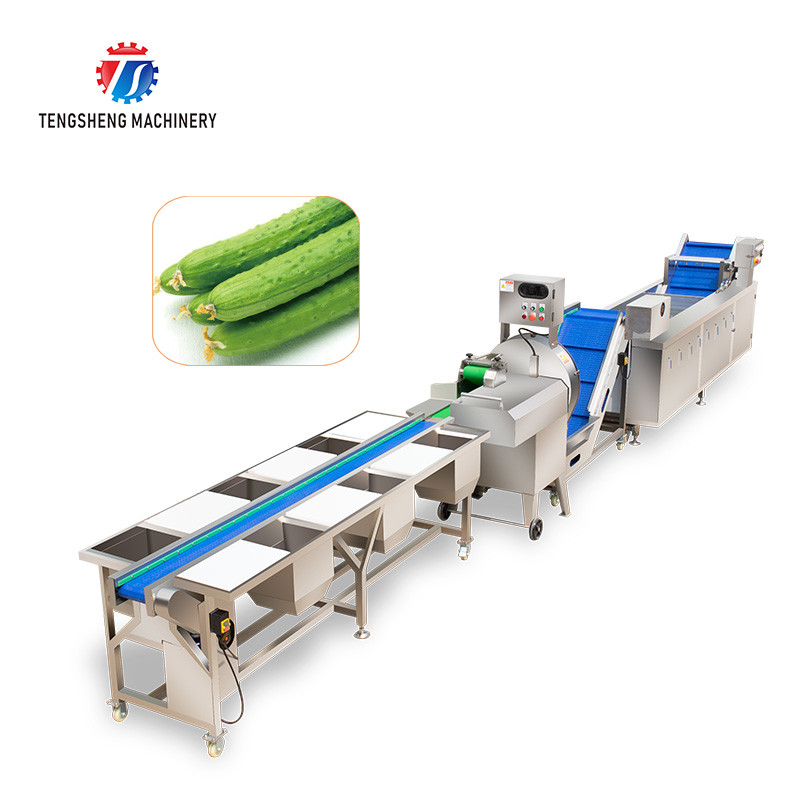 165MM Belt Industrial Vegetable Processing Machine Fruit Selection Washing