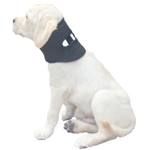 Dog neck brace