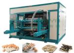 PLC Control Egg Tray Machine