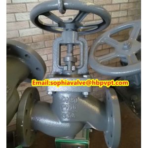China valve body GG25 PN16 cast iron globe valve wholesale