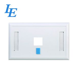ABS 2 Port Faceplate