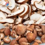 Mushroom slicer Shiitake mushrooms Cutting processing production Machine