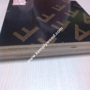 China Linyi best price 9mm 12mm 15mm 18mm 21mm WBP glue brown black film faced plywood(marine plywood) on sale