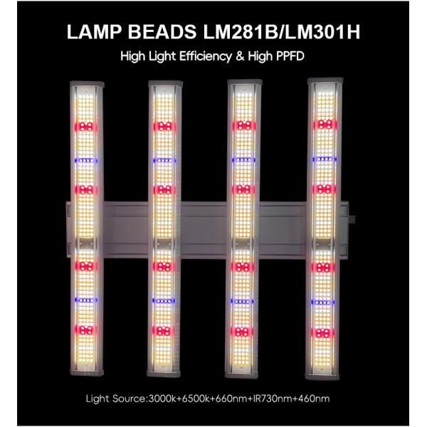 240W Full Spectrum Detachable LED Grow Light Fixtures 3000K 6500K 660Nm Red