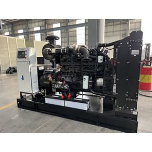 16 KW Standby Diesel Generator