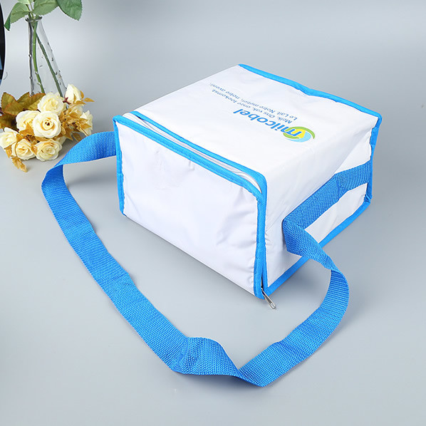 Custom Imprint Bag Grocery Lunch Tote Cooler Thermal Lunch Cooler Bag, Custom size, weight, design