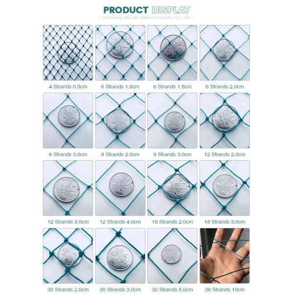 factory price pe farm plastic nets garden orchard anti bird net