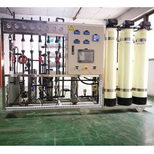 Electrodeionization EDI RO Di Water System Purifier Plant Deionized Water