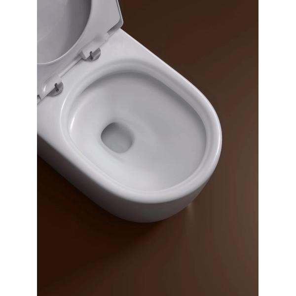 One Piece Toilet for Bathrooms Elongated Power Flush Quiet Soft Close Seat Easy Clean Ceramic Round Shape Toilet