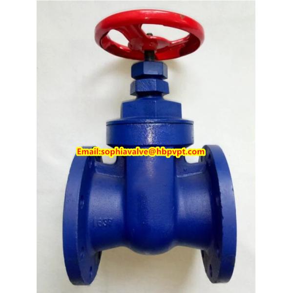 BS flanged gate valve with metal seal