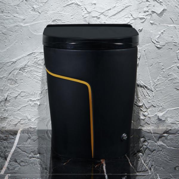 One Piece Black Smart Intelligent Toilet Sanitary Ware 615*360*455mm