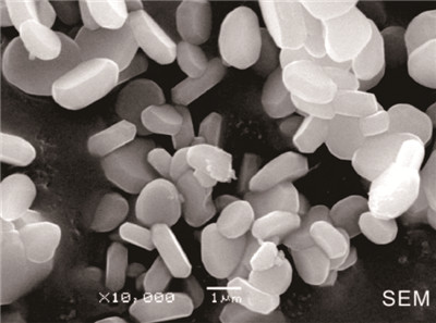 Good Dispersibility 99.95% Aluminum Oxide Ceramics High Purity Alumina Powder 0