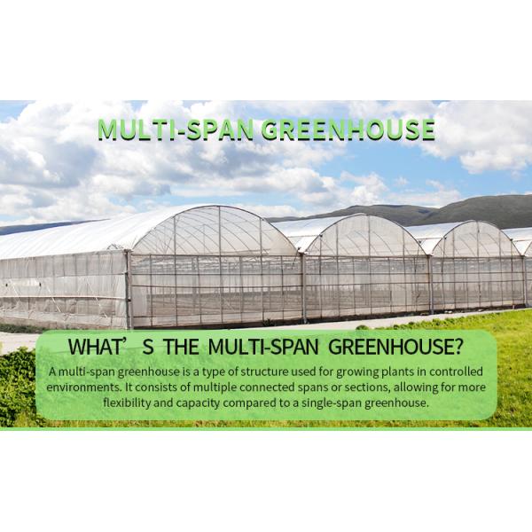 Multi-Span Agricultural Greenhouse 6m-12m Width with 150/200micron PE Film